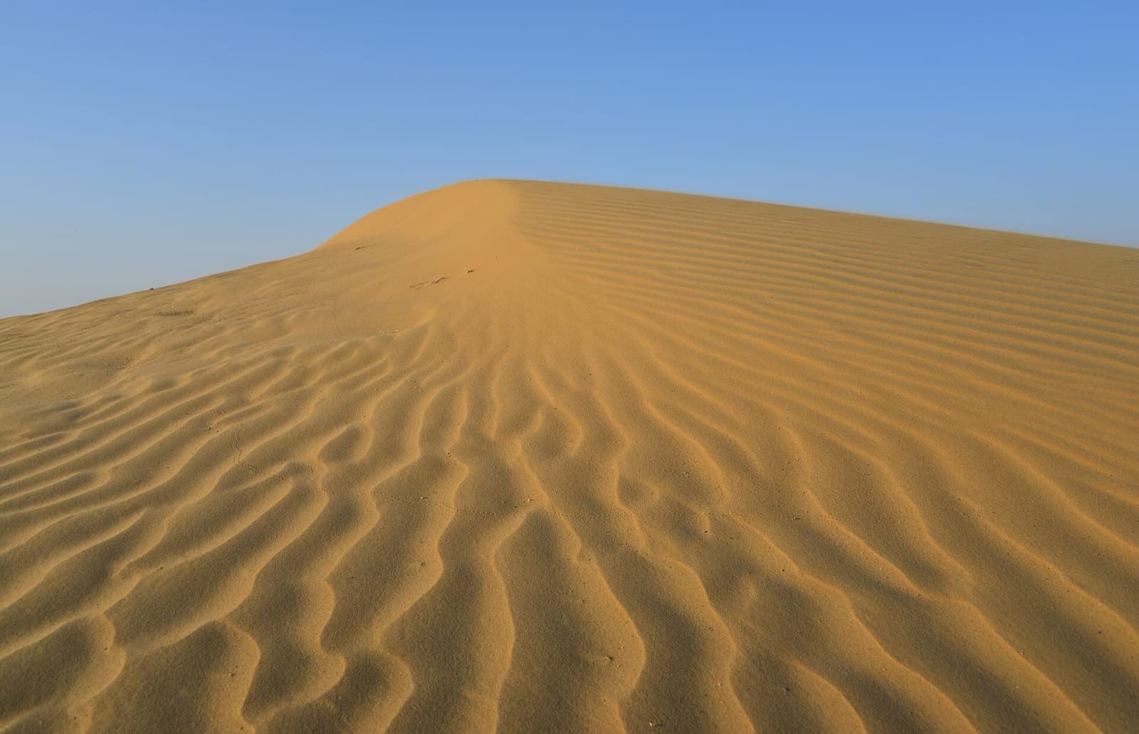 Desert Walk at MaruWagarh Desert Resort