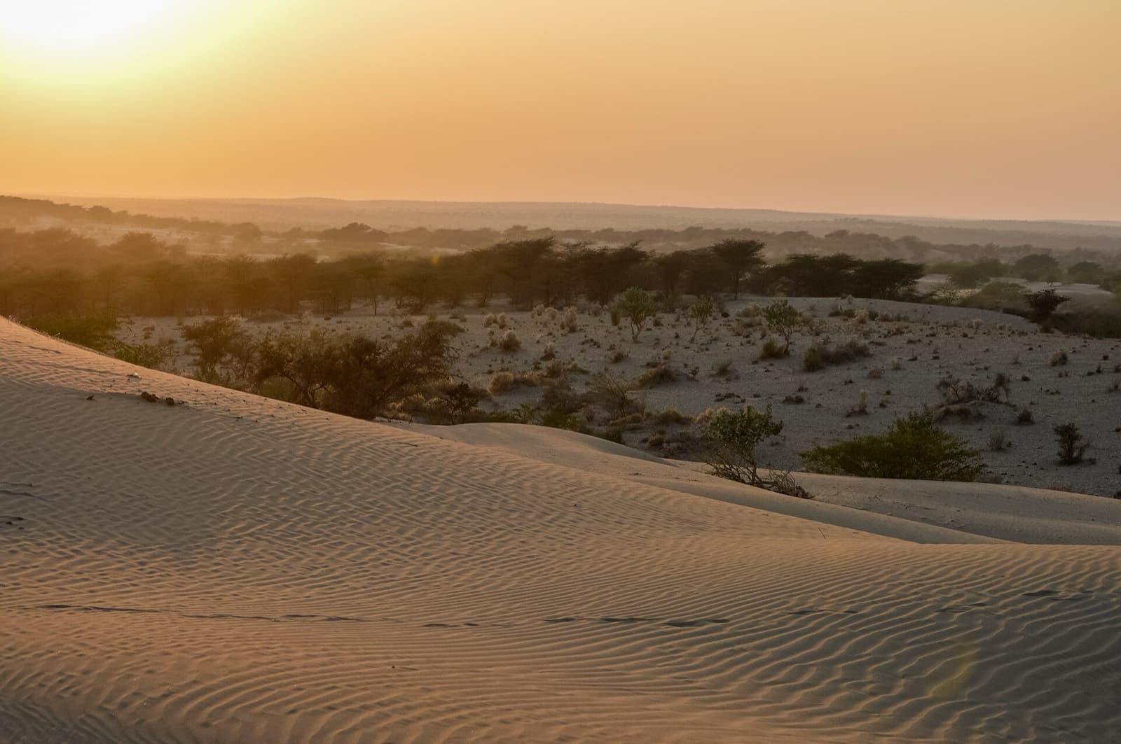 Sunset Safari at MaruWagarh Desert Resort