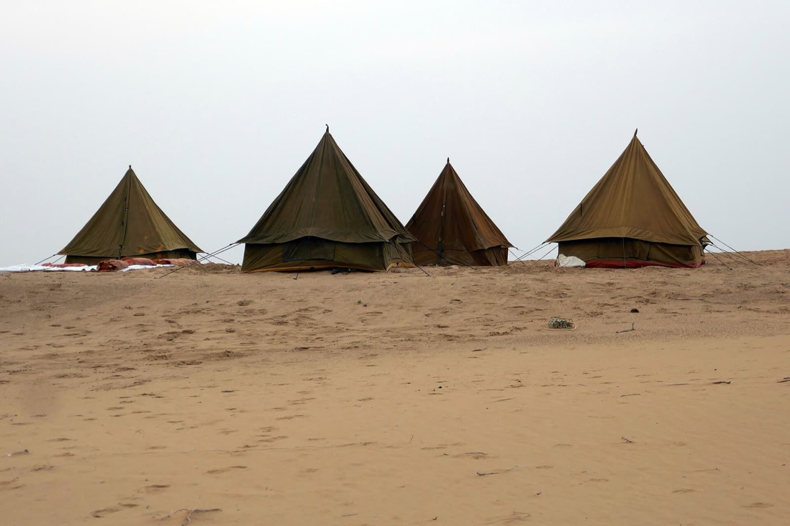 Family & Group Accommodation at MaruWagarh Desert Resort, Sam Sand Dunes